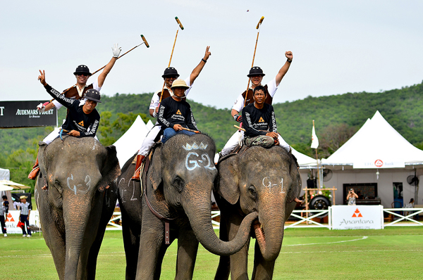 چوگان با فیل در تایلند