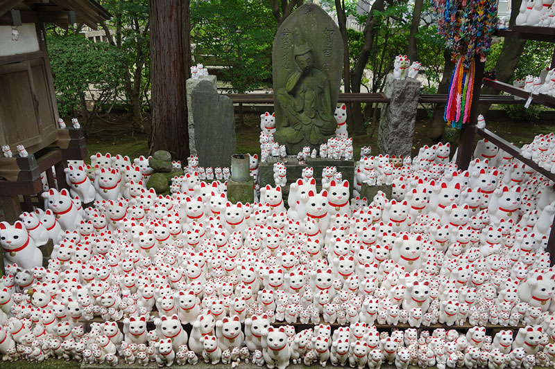 cat shrine