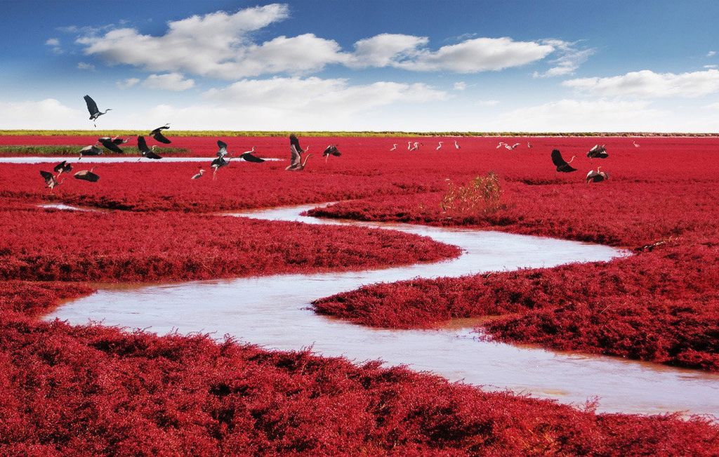 red beach