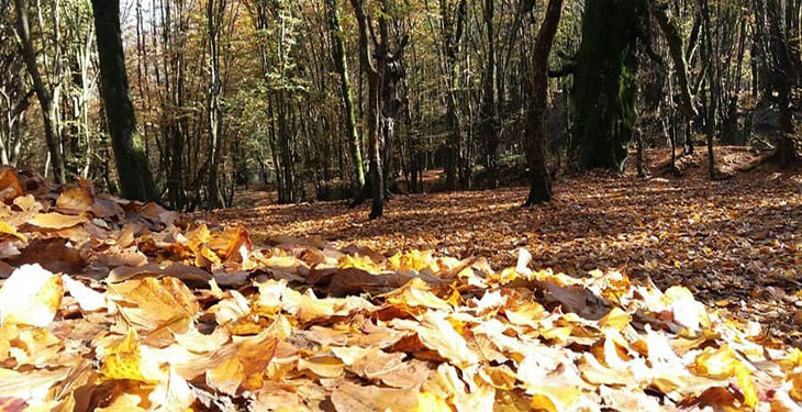 بهترین مقاصد سفر پاییزی