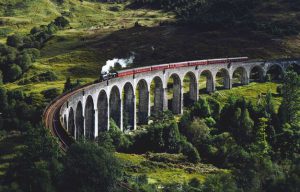 travel-pregnant-train