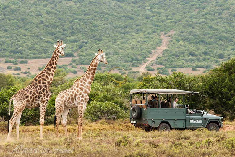 باغ وحش افریقای جنوبی