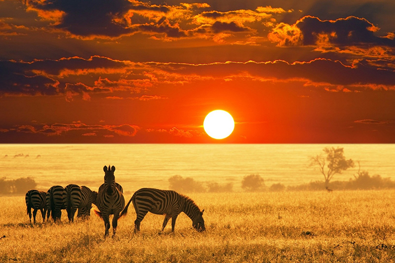 جاذبه های گردشگری سفر به آفریقا